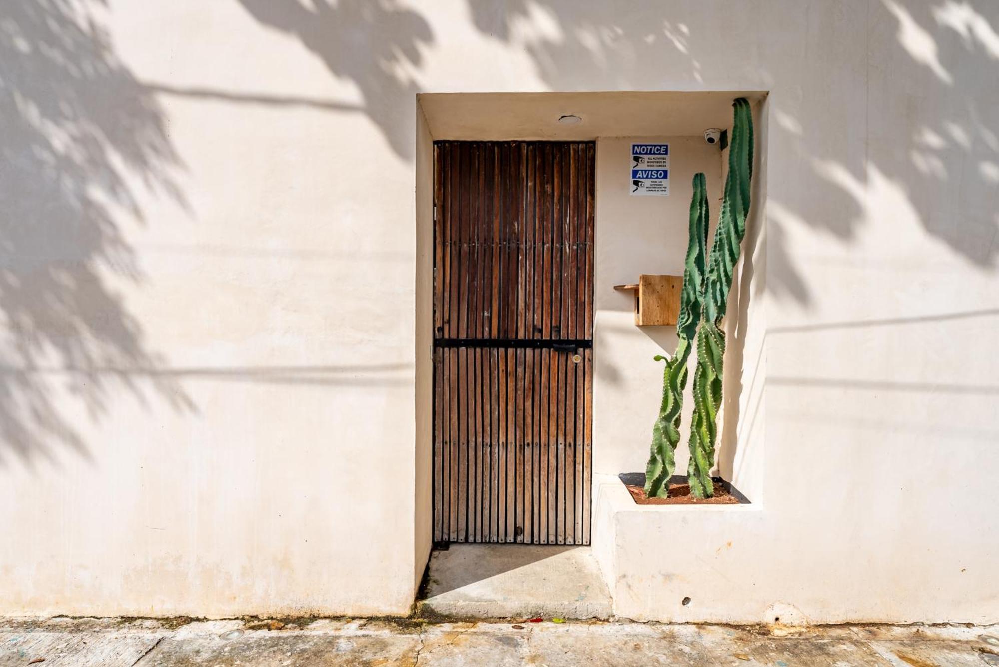 Casa Jicama Lejlighed Cancún Eksteriør billede
